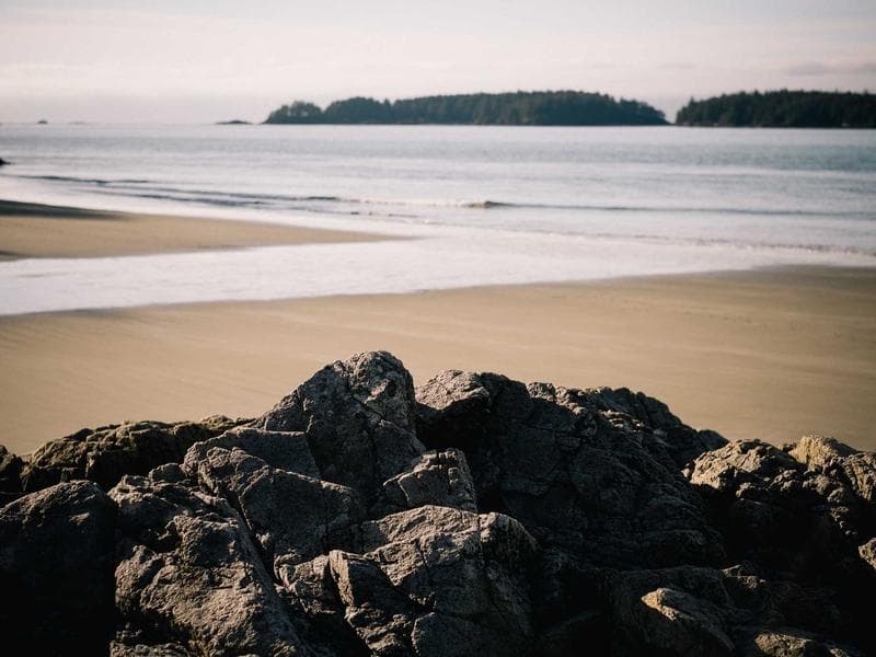 Community Empowerment: Building Stronger & Sustainable Futures